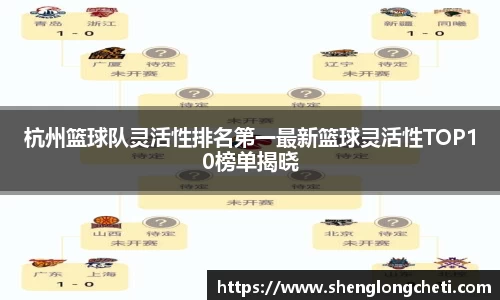 杭州篮球队灵活性排名第一最新篮球灵活性TOP10榜单揭晓