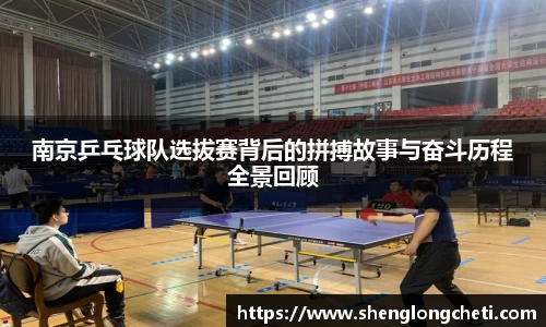 南京乒乓球队选拔赛背后的拼搏故事与奋斗历程全景回顾