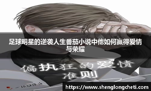 足球明星的逆袭人生番茄小说中他如何赢得爱情与荣耀